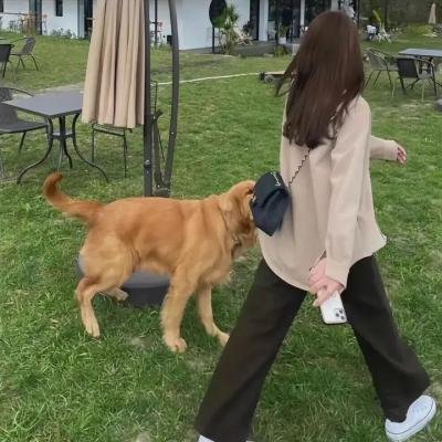 绝等性感